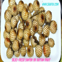 SBJEI-FRESH YANTOK OR RATTAN FRUIT